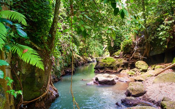 Willkommen auf... Bali!