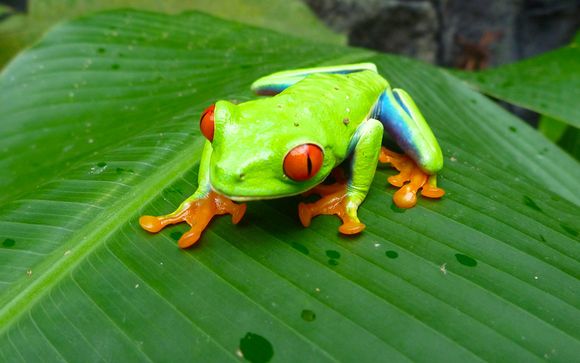 Ihre Autotour im Detail (11 Nächte)