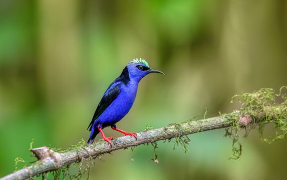 Votre autotour en un clin d'oeil