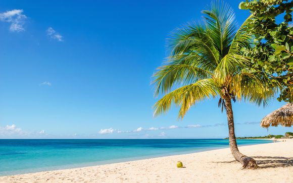 Welkom in... New York en Jamaica!