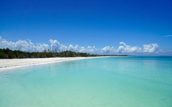 Mettez une option sur l