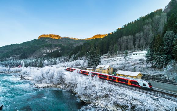 Zoom sur votre programme