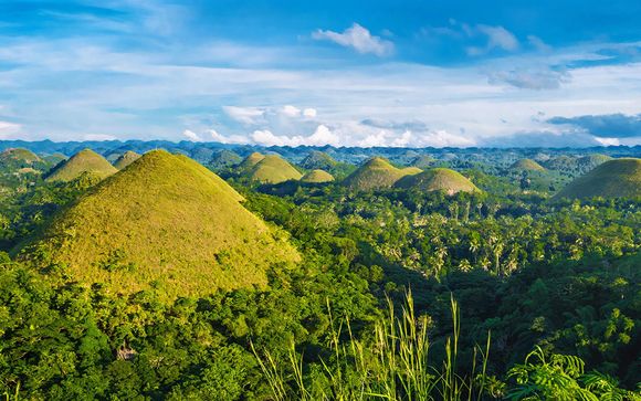 Mettez une option sur l