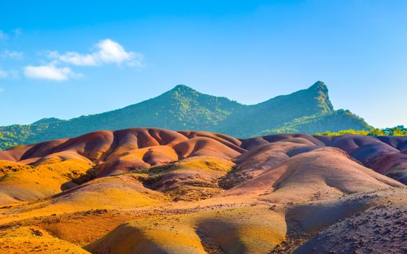 Mettez une option sur l