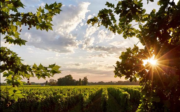 Votre activité pour plus d