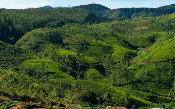 Zoom sur votre programme