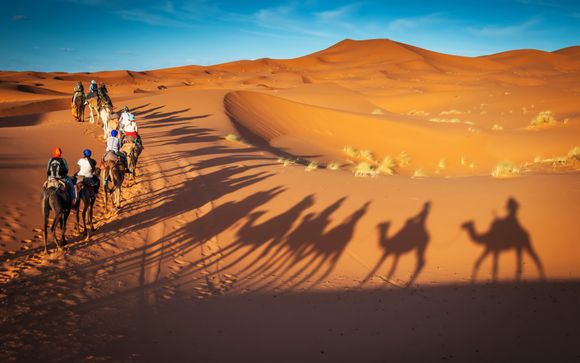 Mettez une option sur l