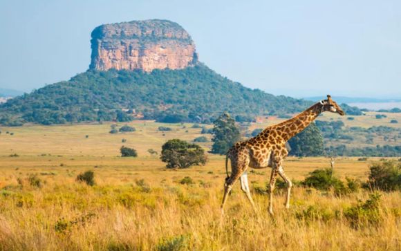 Rendez-vous... en Afrique du Sud