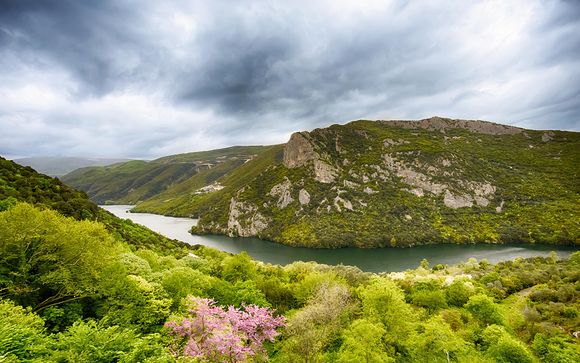 Pour aller plus loin 