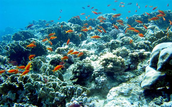  Pour aller plus loin 