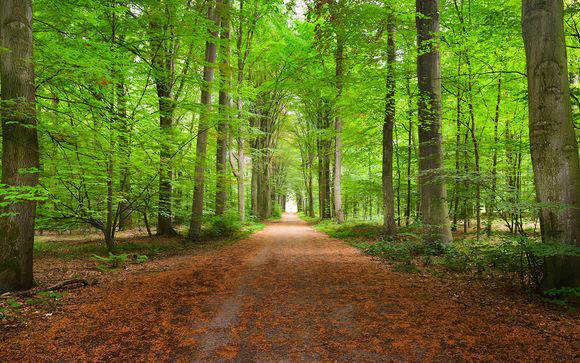 Pour aller plus loin 