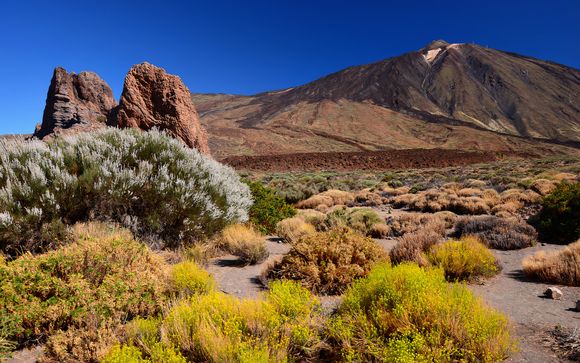 Pour aller plus loin 