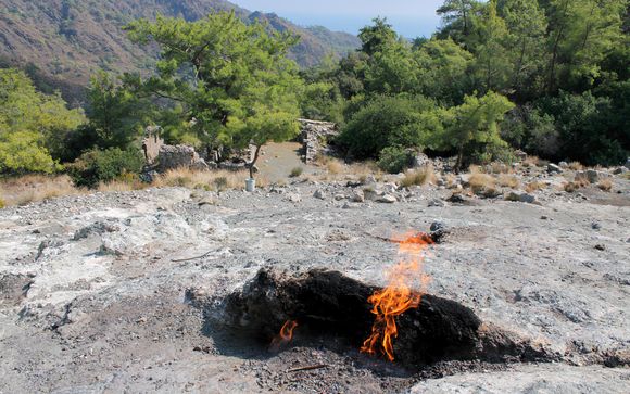 Pour aller plus loin 