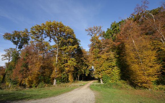 Pour aller plus loin 