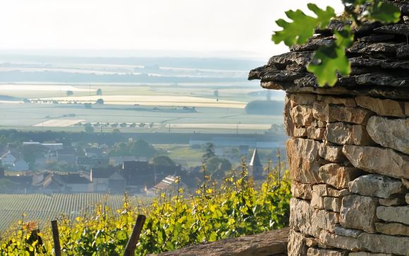 Pour aller plus loin 