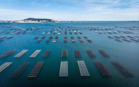 Pour aller plus loin 