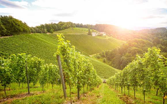 Pour aller plus loin 