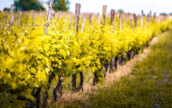 Pour aller plus loin 