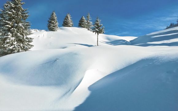 Het skigebied