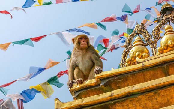 Pour aller plus loin 