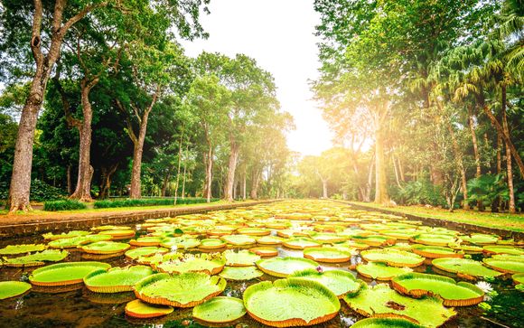 Pour aller plus loin 