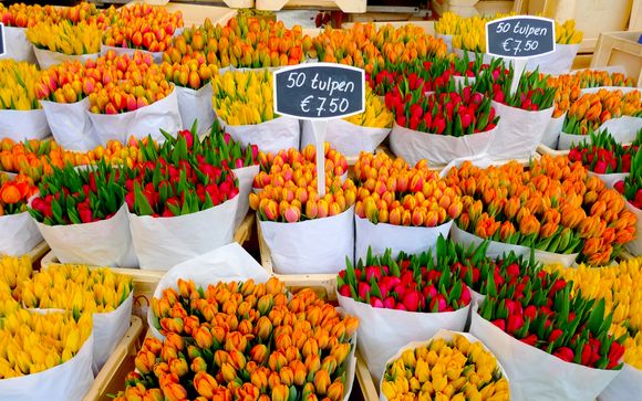 Pour aller plus loin 