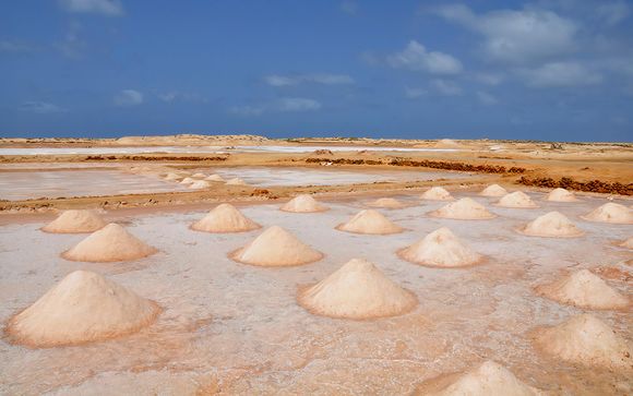 Pour aller plus loin 