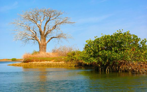 Welkom in ... Senegal