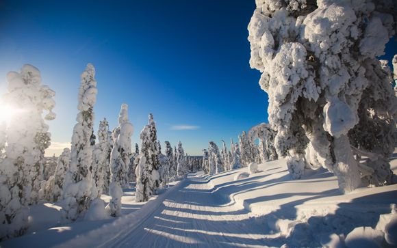 Rendez-vous...en Laponie