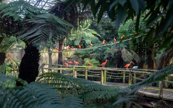 La pédagogie et la protection comme enjeux majeurs