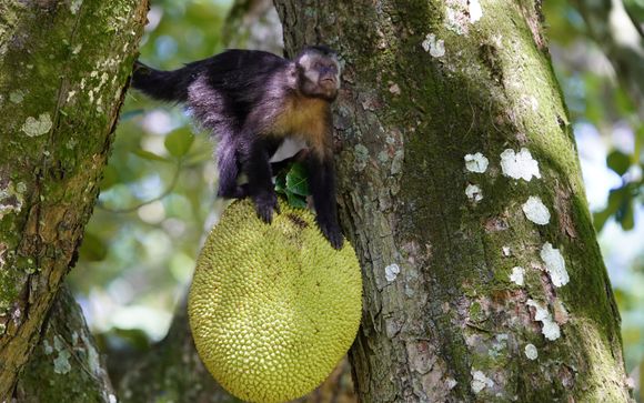 Reisprogramma