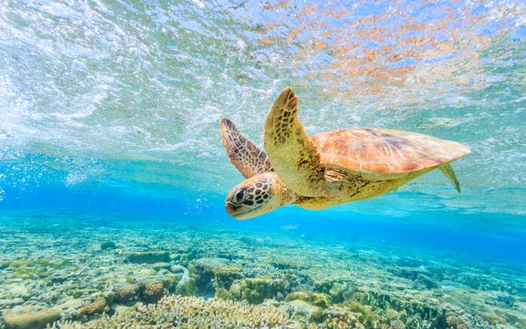 Votre excursion incluse