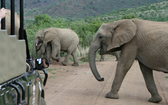 Randonnées familiales dans la brousse, Letsatsing Game Park