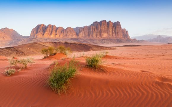 Zoom sur votre programme