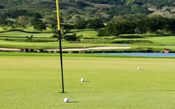 Uw optionele excursies