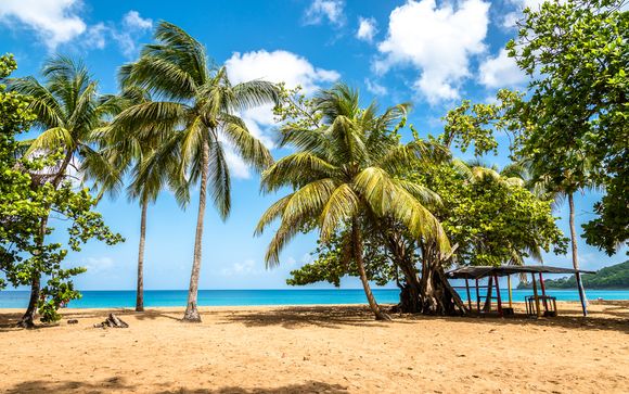 Rendez-vous... à Deshaies