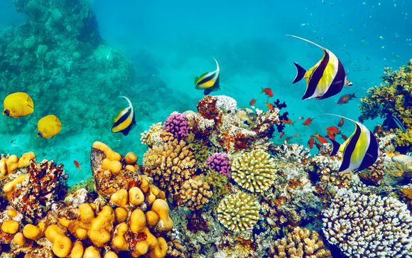 Rendez-vous... en Égypte