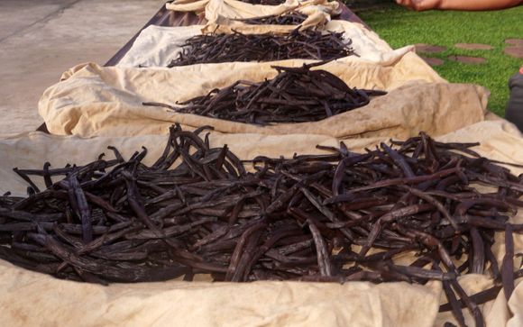 Mettez une option sur l