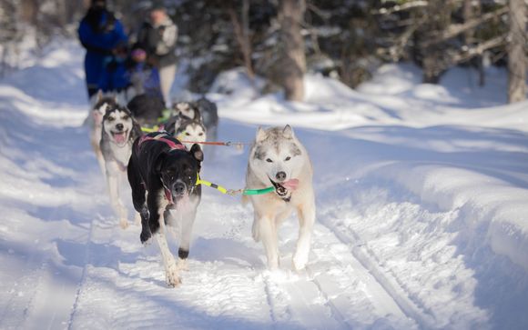 Zoom sur votre programme