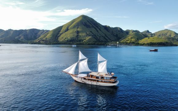 Zoom sur votre programme