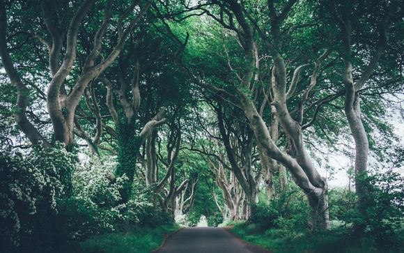 Pour votre confort durant l'autotour