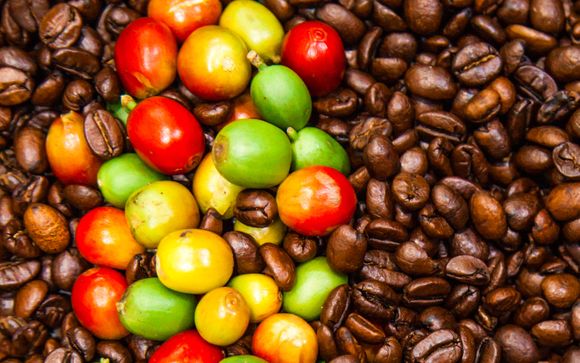 Mettez une option sur l