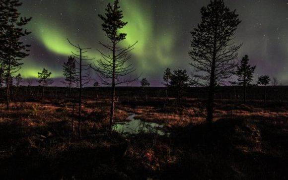 Mettez une option sur l