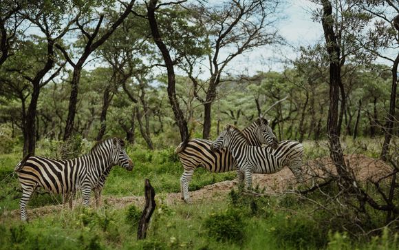 Zoom sur votre programme