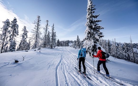 Optionele excursies