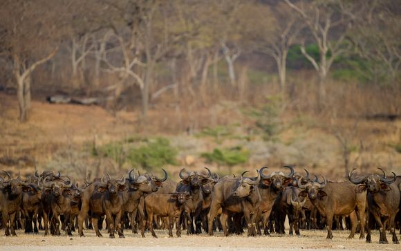 Welkom in... Kenia en Tanzania!