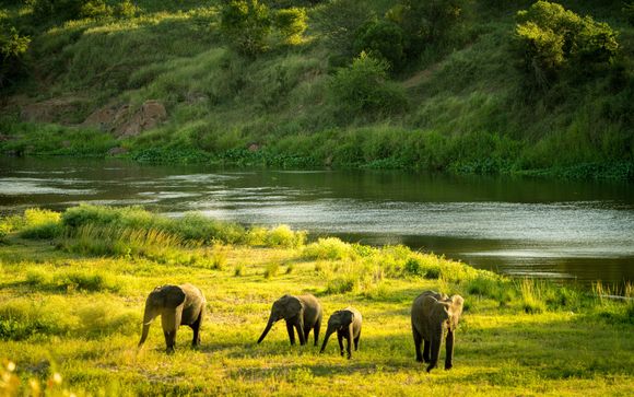 Welkom in... Marloth Park!