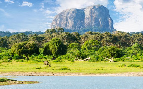 Welkom in... Sri Lanka & de Malediven!