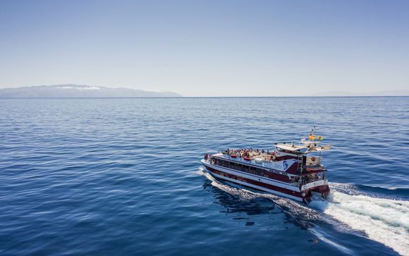 Optionele excursies