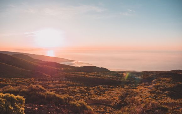 Mettez une option sur l